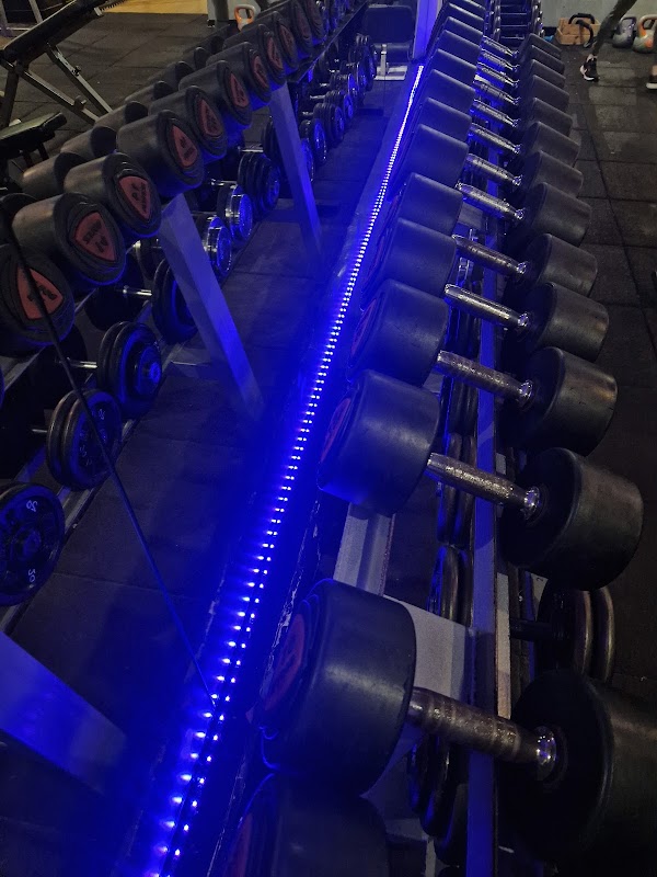 Zona de cardio Train Hard